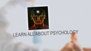 klantpsychologie