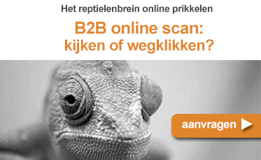 Het reptielenbrein online prikkelen in B2B marketing